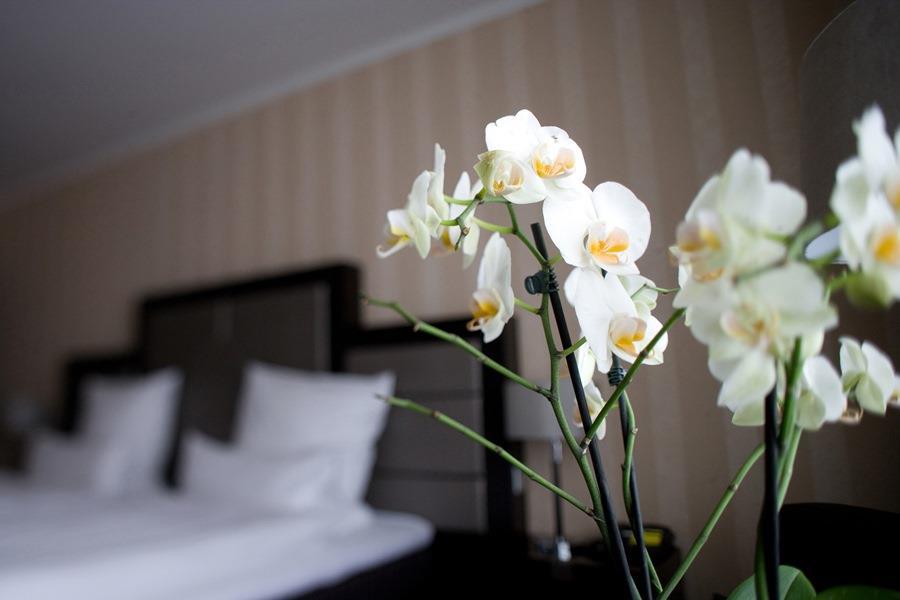 Kraemer Hotel 3*